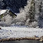 Winkler * باد غويسرن