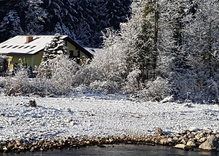 Winkler * باد غويسرن