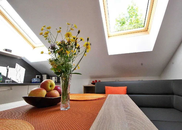 Winkler باد غويسرن